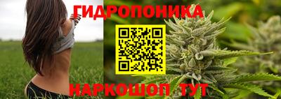мдма Дубна